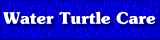 Water Turtle Care