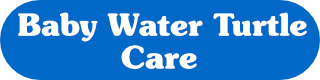 Baby Water Turtle Care