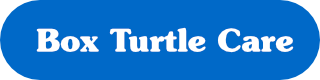 Box Turtle care information