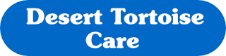 Desert Tortoise Care