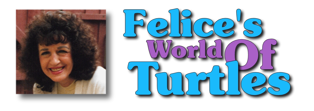 Felice's World of Turtles