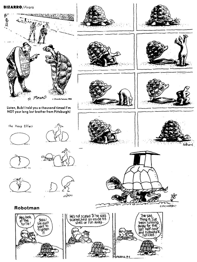 A scan of the back page of the newsletter from Winter 1985