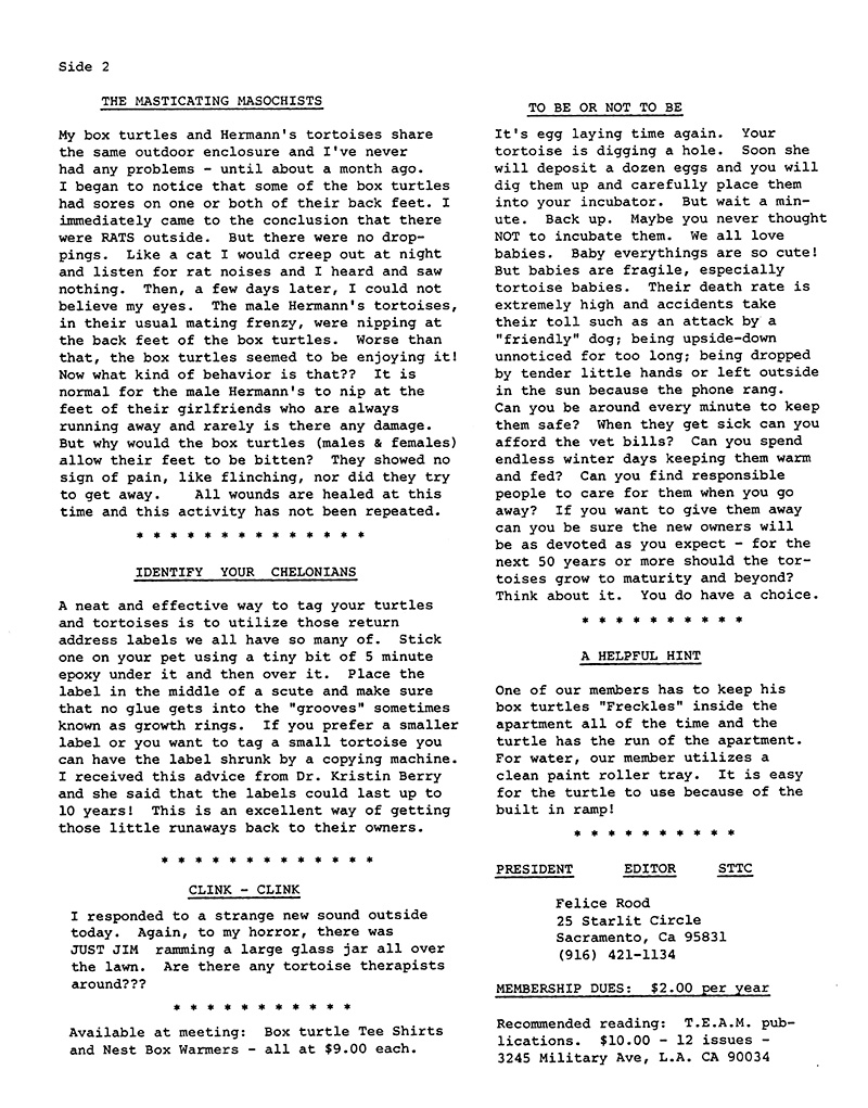 A scan of the back page of the newsletter from Summer 1987