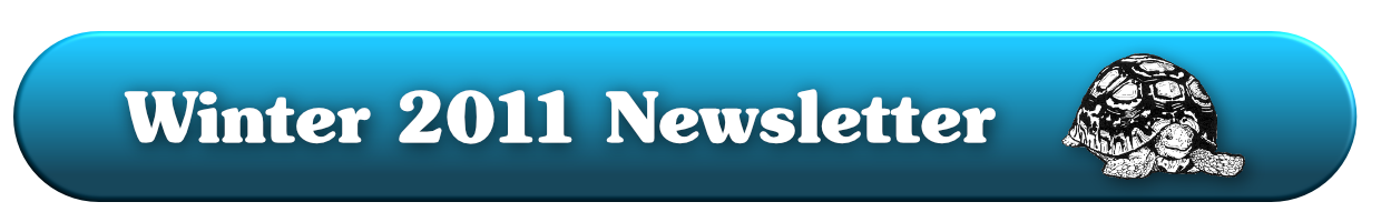 Winter 2011 Newsletter