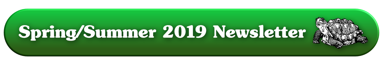 Spring/Summer 2019 Newsletter