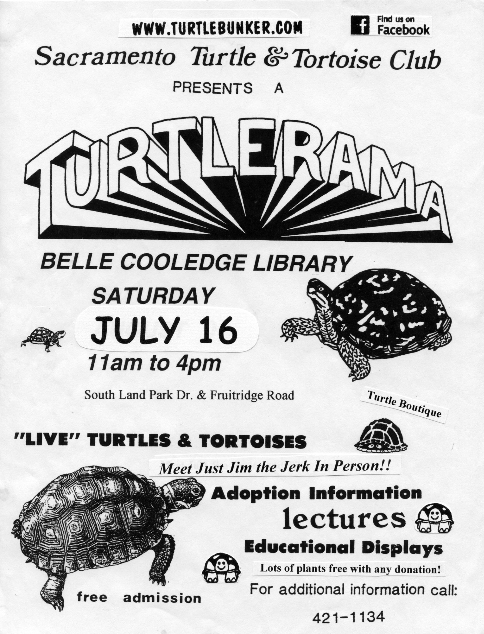 A flyer for the 2011 Turtlerama