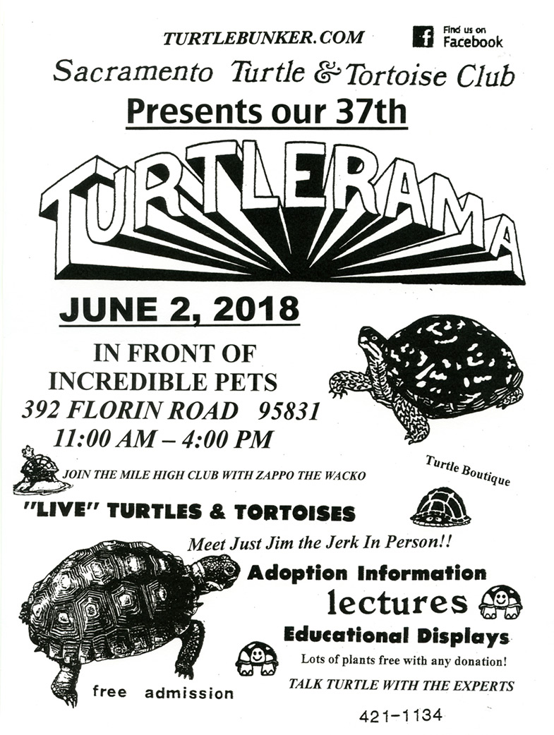 A flyer for the 2018 Turtlerama