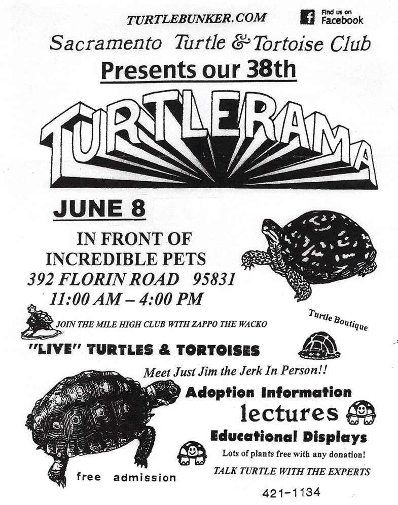 A flyer for the 2019 Turtlerama
