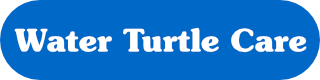 Water Turtle Care